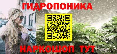 гидра Новокубанск