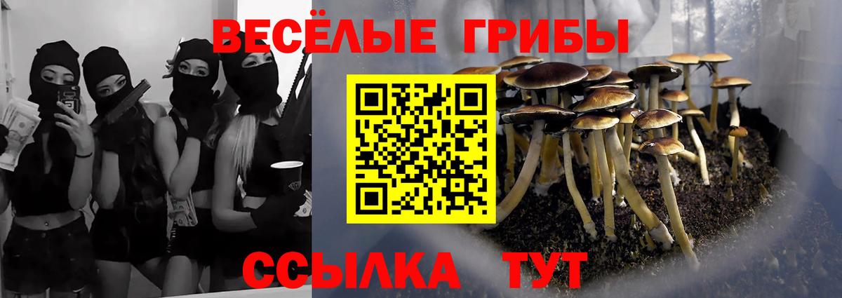 Ставрополь  Галлюциногенные грибы ЛСД  Псилоцибиновые грибы мицелий  Вход с VPN 