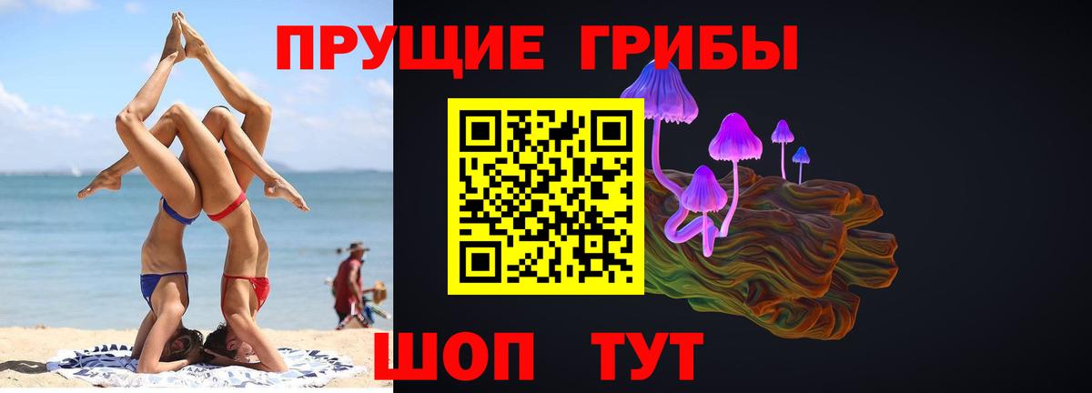 Псилоцибиновые грибы ЛСД Ставрополь